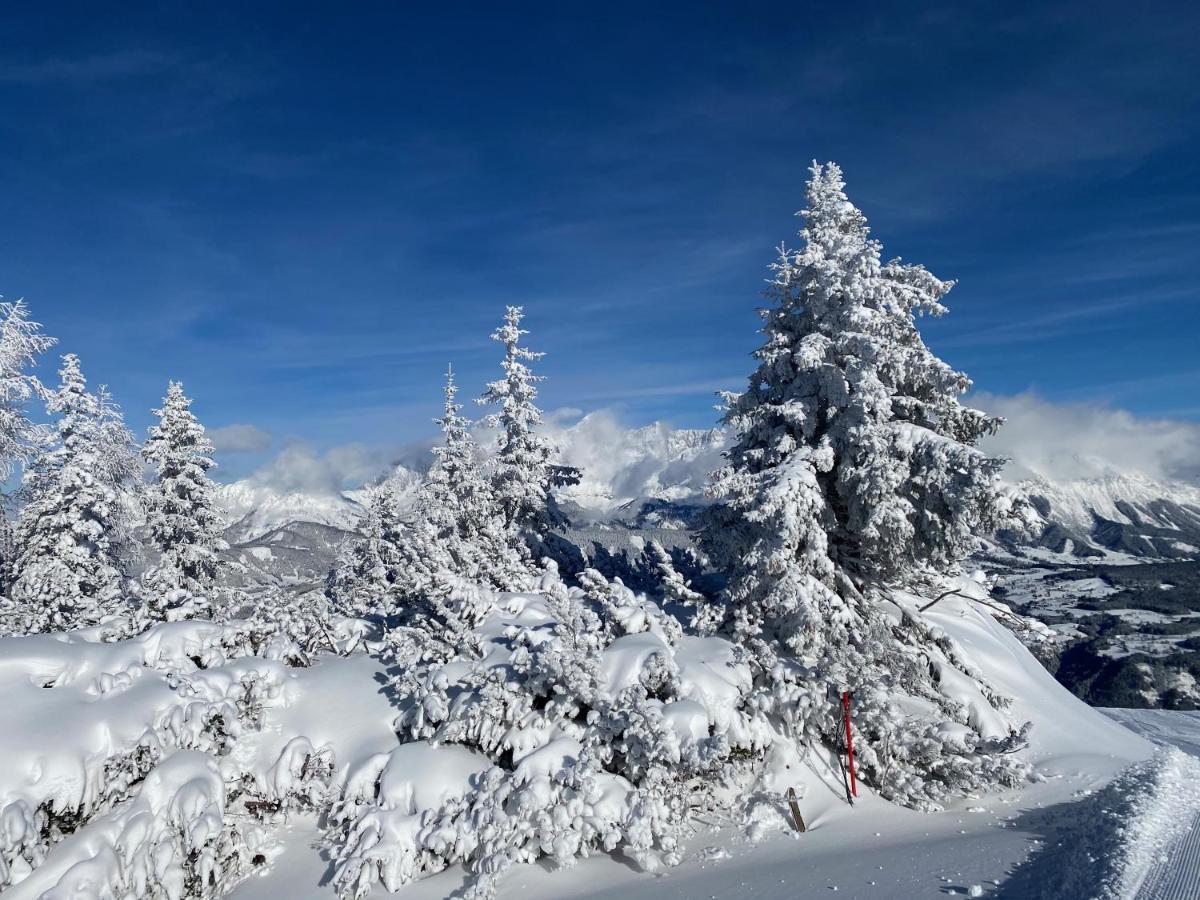 שלאדמינג Chalet Reiteralm- Ski Inski Out מראה חיצוני תמונה
